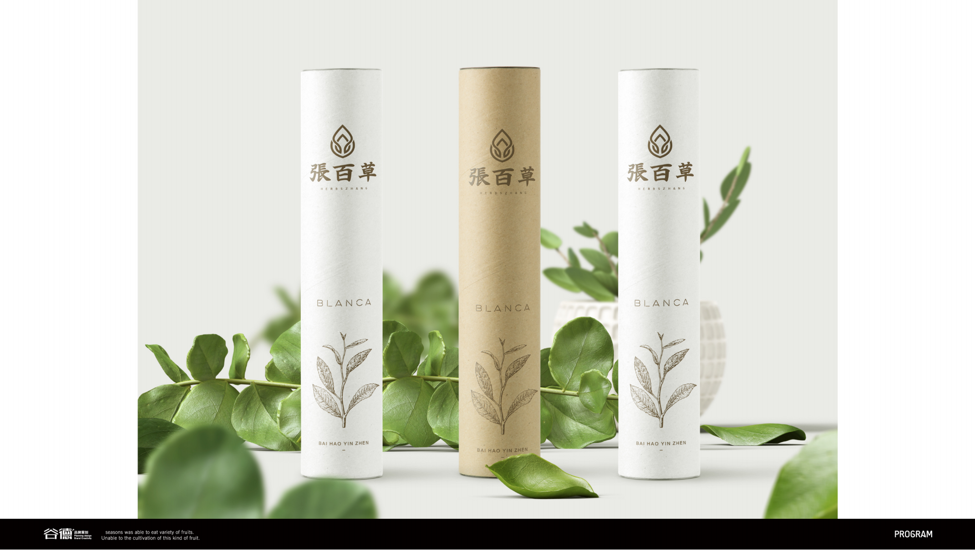 張百草LOGO設(shè)計(jì)提案_副本_21.png